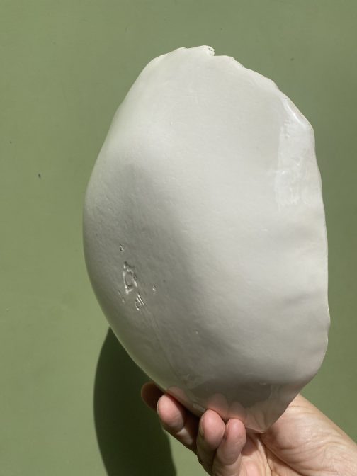 Assiette Corail – Image 3