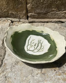 Assiette Corail