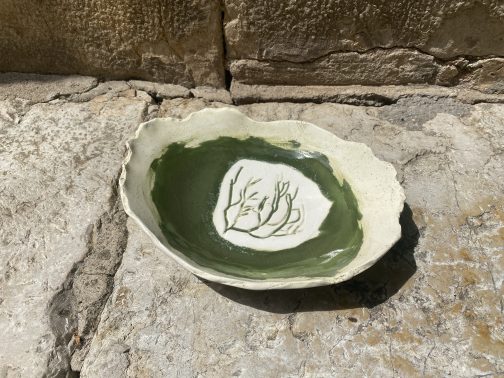 Assiette Corail