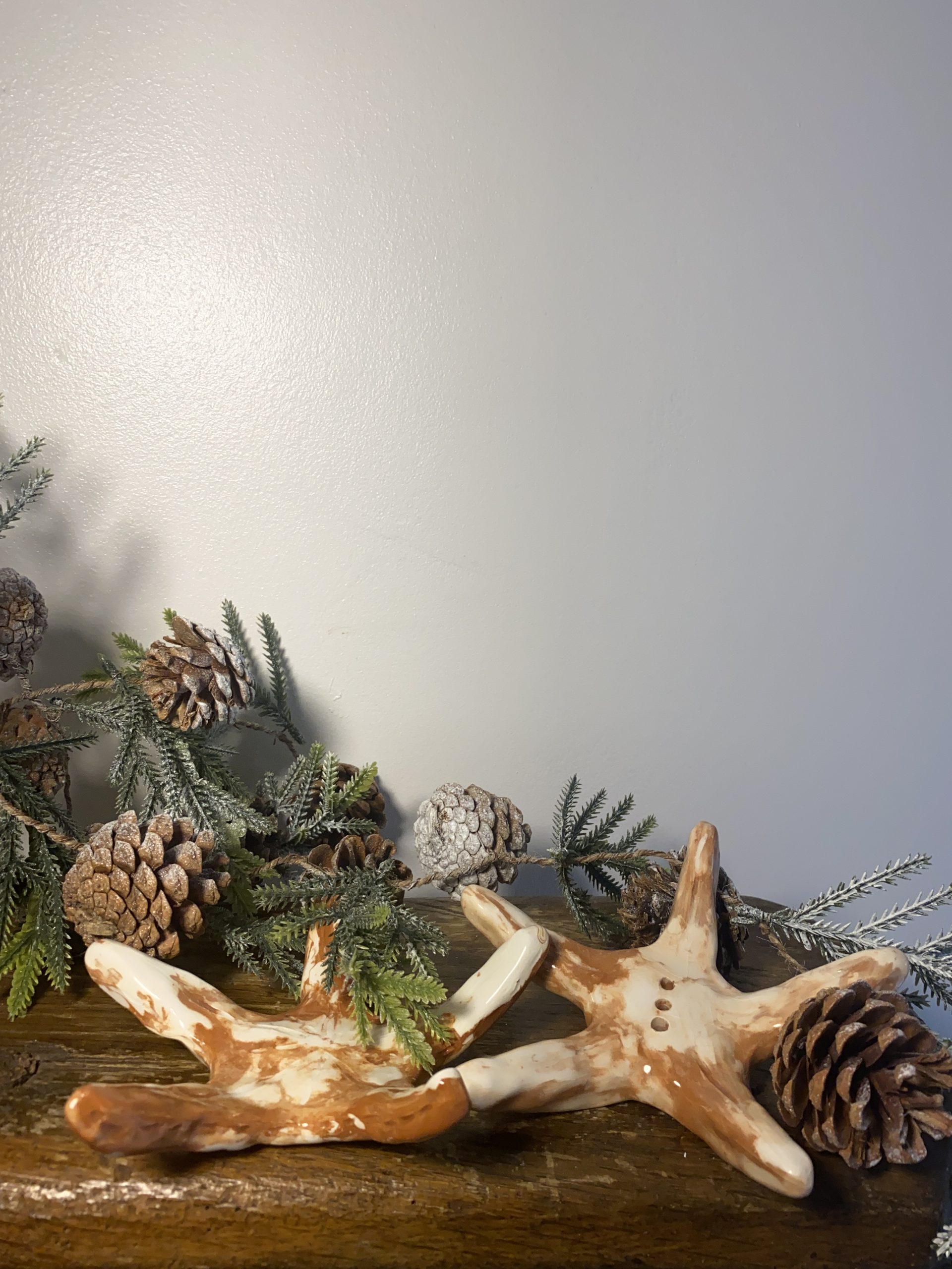 Etoile méditerranéenne – Image 2