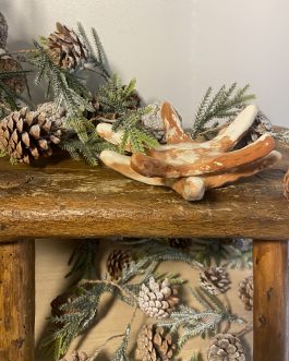 Etoile méditerranéenne