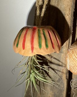 Méduse « éclat rouge et vert »