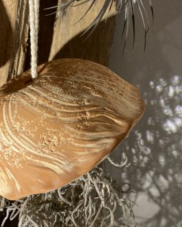 Méduse « éclat rouge et blanc »